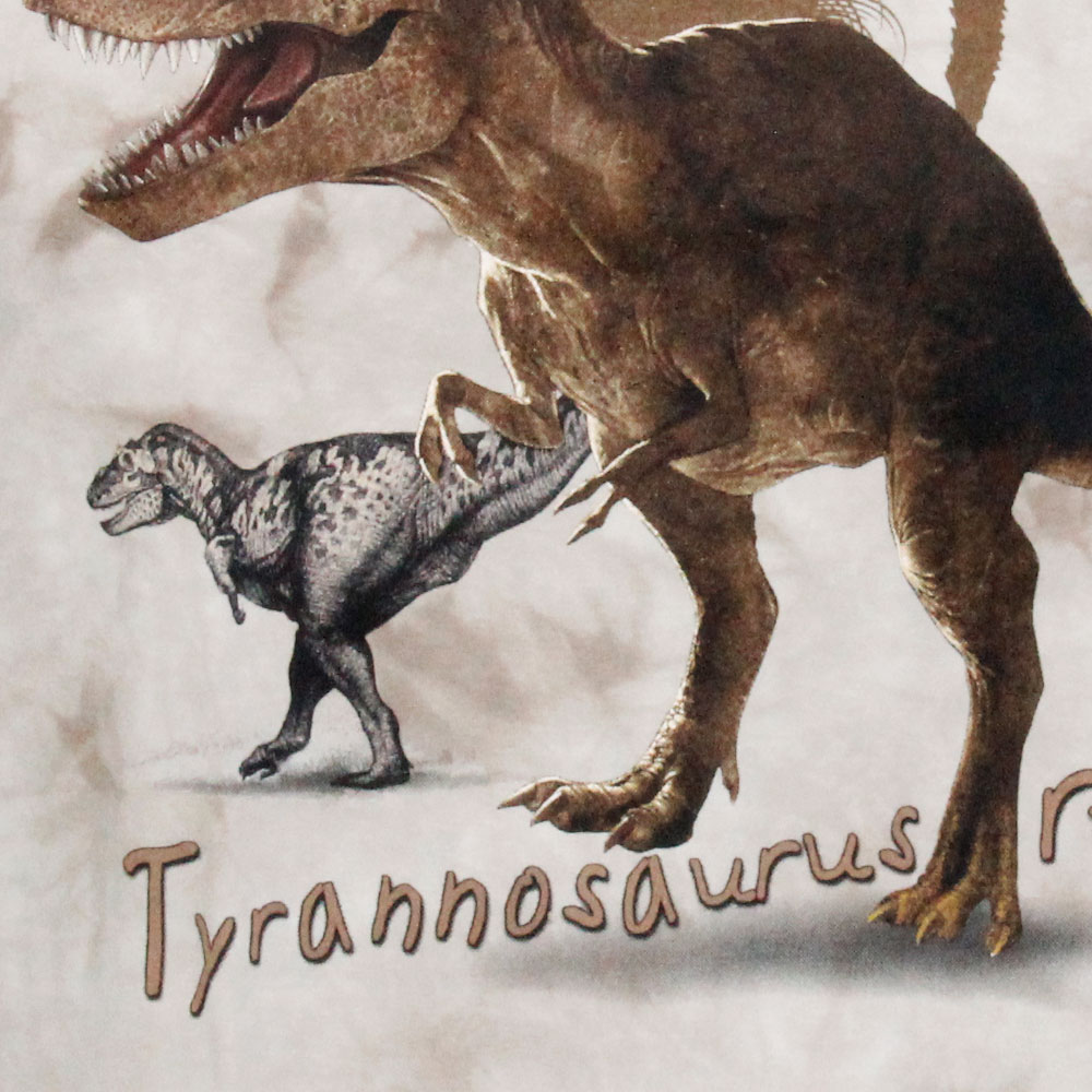 T-shirt  Ty-rex Tie-dye Child