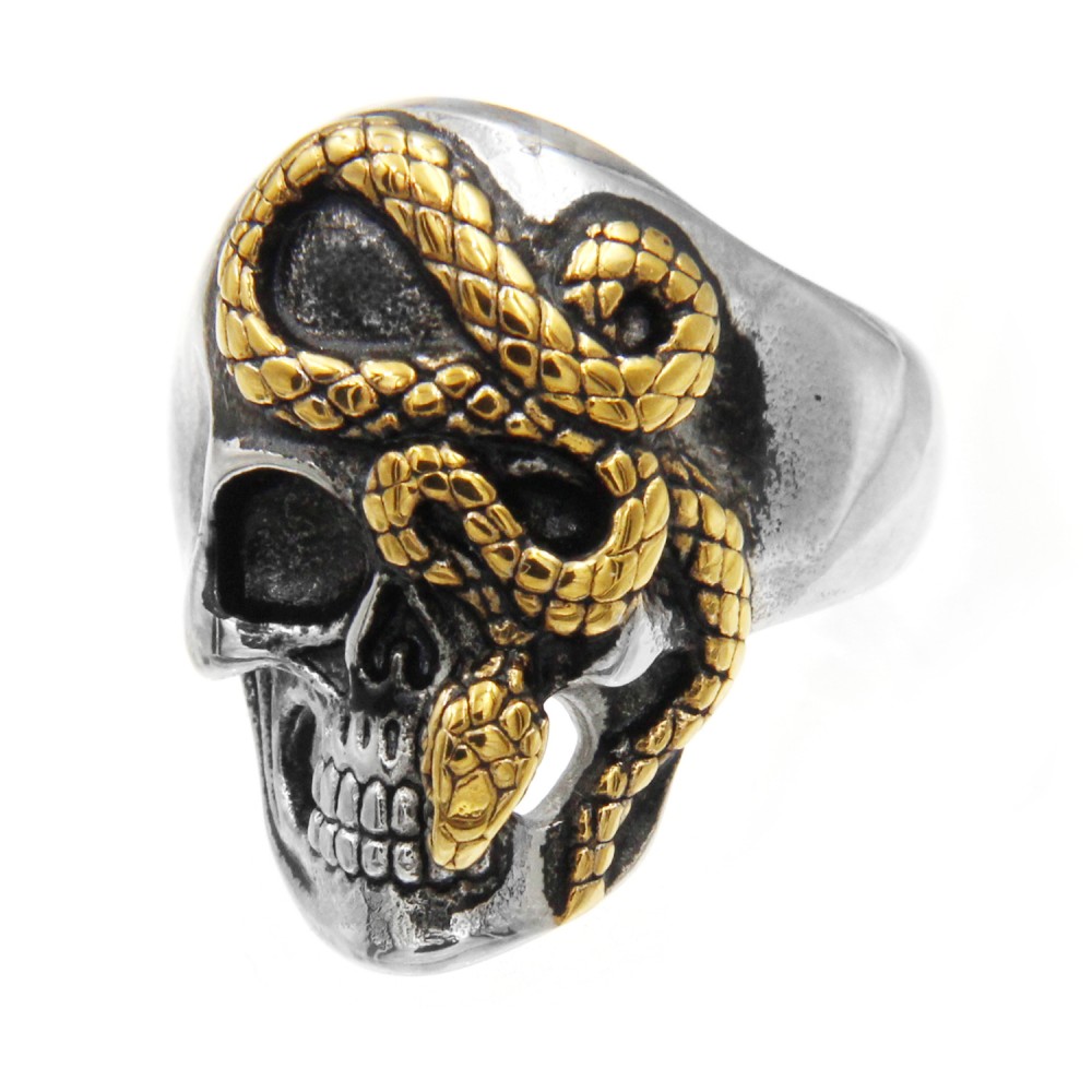 Ring Snake on Skull