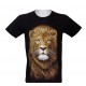 Rock Eagle T-shirt Lion