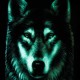 Child T-Shirt Noctilucent Wolf