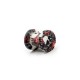 Plug Black and Red with Skulls