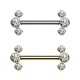 Barbell with Crystals