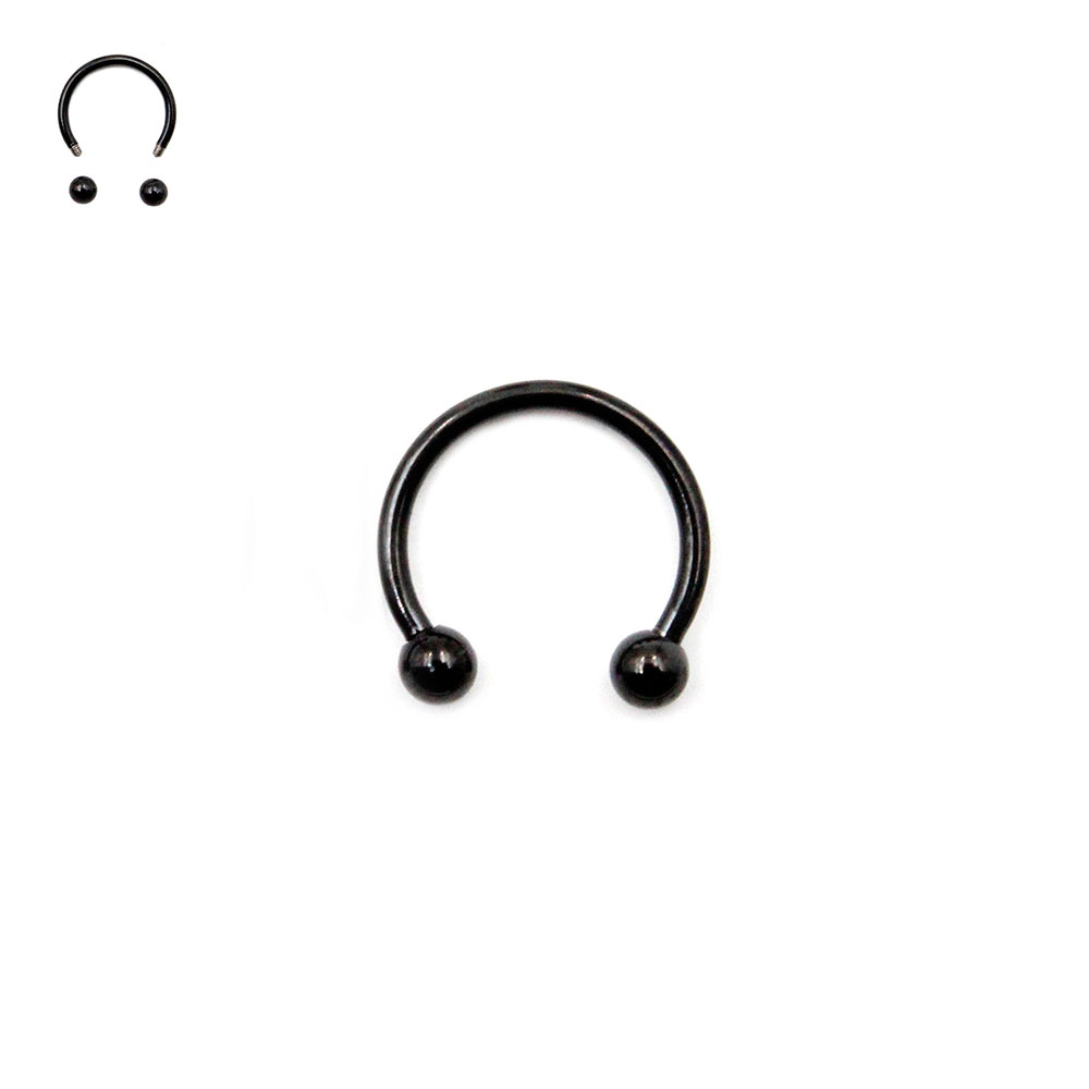 Circular Ring with Small Balls Black